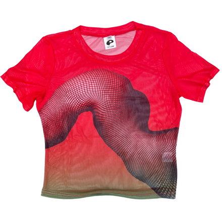 Carmine Mesh Top